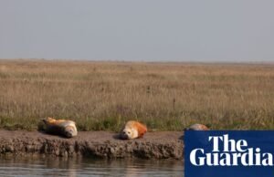 Debemos proteger nuestros hábitats naturales antes de que desaparezcan | Ambiente