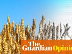 Dejamos que las grandes corporaciones jueguen con nuestras vidas. Actúe ahora, de lo contrario la comida podría acabarse | Georges Monbiot