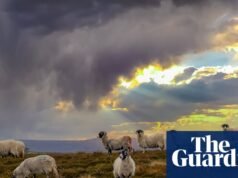 ¿Cómo podemos mejorar la seguridad alimentaria en Gran Bretaña? Alimento