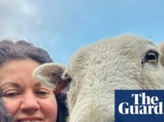 La mascota que nunca olvidaré: Merlín la oveja terapéutica | animales