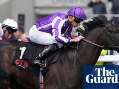 ‘La computadora se ha vuelto loca’: Error en el astillero O’Brien retira 2.000 caballos de guinea | Carrera de caballos