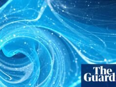 Necesitamos un plan creíble para la financiación científica del Reino Unido | Ciencia