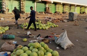 Cronología de los ataques en el estado de Borno, noreste de Nigeria