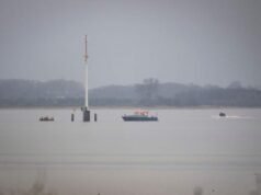 Una ballena varada en las costas de Alemania y vuelve a disfrutar de días libres