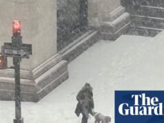 ‘La gente cargaba a sus perros sobre el hielo’: la mejor foto telefónica de Adela Ramírez | Fotografía