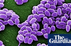 La taxonomía no es una ciencia sexy, pero merece una mayor apreciación | Taxonomía