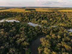 Descubre “los pulmones de África” a través de los ojos de un fotógrafo
