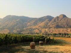 Uno de los secretos mejor guardados de Canadá es un valle vinícola que ofrece recreación durante todo el año y el encanto del noroeste del Pacífico.