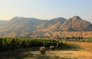 Uno de los secretos mejor guardados de Canadá es un valle vinícola que ofrece recreación durante todo el año y el encanto del noroeste del Pacífico.