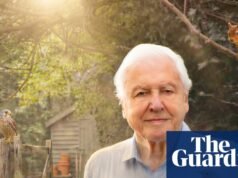 ‘No quisimos predicar’: el nuevo e inesperado espectáculo de David Attenborough, que podría enfurecer a los amantes de los gatos | Televisión