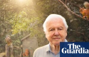 ‘No quisimos predicar’: el nuevo e inesperado espectáculo de David Attenborough, que podría enfurecer a los amantes de los gatos | Televisión