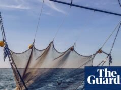 El calentamiento de los océanos y la sobrepesca deben abordarse juntos | Océanos