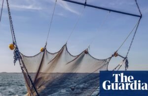 El calentamiento de los océanos y la sobrepesca deben abordarse juntos | Océanos