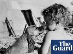 Un juego de niños: la culpa es del perro | Cartas breves