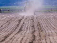 Los expertos advierten que la deuda alemana podría aumentar si no se toman más medidas climáticas