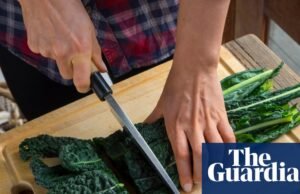 ¿Cuál es el mejor material para una tabla de cortar y cómo prevenir el moho? | cocineros