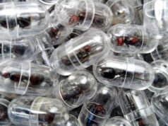 Nacional chino arrestado por intentar contrabandear 2.000 hormigas reina desde Kenia