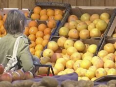 La interrupción de los fertilizantes hace subir los precios de los alimentos