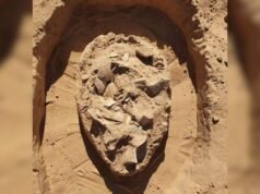 Se descubre una colección de huevos de avestruz de 7.000 años de antigüedad bajo dunas de arena en el sur de Israel