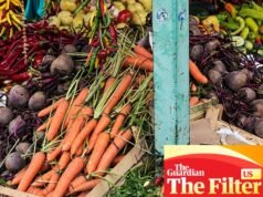 Cómo comprar en el mercado de agricultores como un profesional | Verduras