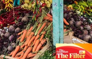 Cómo comprar en el mercado de agricultores como un profesional | Verduras