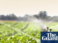 La inversión en sistemas alimentarios debería ser una prioridad | Desnutrición