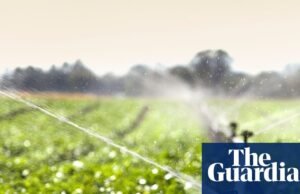 La inversión en sistemas alimentarios debería ser una prioridad | Desnutrición