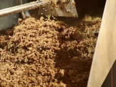 El proyecto BioSupPack, financiado con fondos europeos, transforma residuos de cervecería en bioplásticos