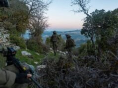 ¿Cuál es la opinión de las FDI sobre la posible ocupación a largo plazo del sur del Líbano?