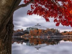 La ciudad artística de Canadá rodeada de lagos es una belleza de Ontario con aventuras al aire libre