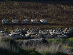 Israel se prepara para la mayor ofensiva terrestre en el Líbano desde la guerra de 2006