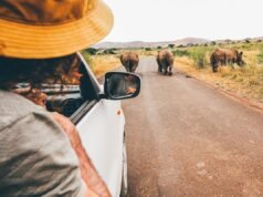 7 de los mejores safaris sin conductor del mundo