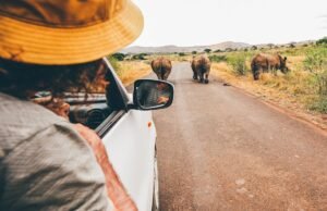 7 de los mejores safaris sin conductor del mundo