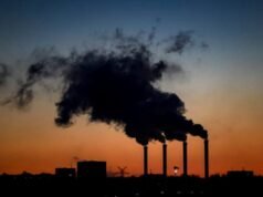 Alemania apenas cumple sus objetivos climáticos para 2025 y reduce un 0,1% las emisiones