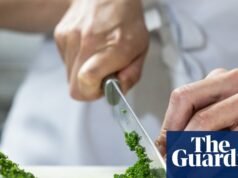 Las cebolletas perfectamente picadas son un símbolo de estatus para los chefs. ¿Puedo aprender a dominar el “confeti verde”? | Alimento