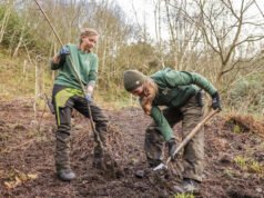 Los cerezos en flor marcan los vínculos del Reino Unido con Japón