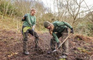 Los cerezos en flor marcan los vínculos del Reino Unido con Japón