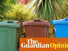 Alguien está usando mi contenedor con ruedas como inodoro. ¿Cómo llegamos allí? | Catherine Shoard