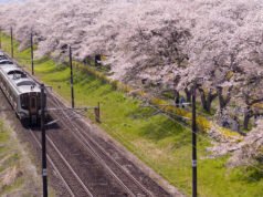 ¿Dejaste tu bolso en un tren JR en Japón? He aquí cómo recuperarlo