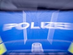 La policía alemana se quedó boquiabierta tras encontrar 35 dientes en la acera