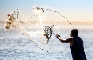 Los delfines le dicen a los humanos cuándo lanzar