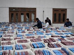 Elecciones nepalesas de 2026: ¿quiénes son los candidatos y cuáles son los temas?