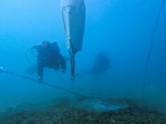 Grecia espera que los amarres ecológicos protejan las vitales colonias de pastos marinos