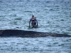Los rescatistas aún no pueden liberar a una ballena varada en la costa alemana del Báltico