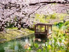 Visité Japón por primera vez. El viaje fue genial, pero fácilmente podría haber evitado estos 5 errores.
