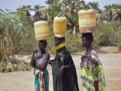 “¿Cómo puedo sobrevivir?” » La sequía golpea a Turkana en Kenia, mientras que en otros lugares hay excedentes