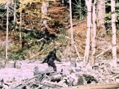 Ocho avistamientos de ‘Pie Grande’ en cuatro días: informes de bestias de 10 pies de altura que emiten gruñidos