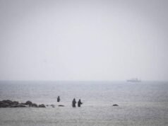 Una ballena varada durante varios días frente a las costas de Alemania vuelve a quedar atrapada