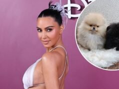 Kim Kardashian comparte a sus 4 cachorros pese a la reacción de PETA