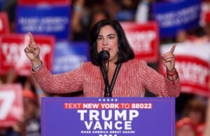 Esta vez los demócratas de Nueva York fueron demasiado lejos al racializar la redistribución de distritos